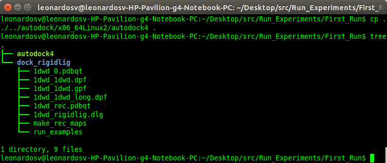 ./figs/1_BuildAutoDock_step15.png